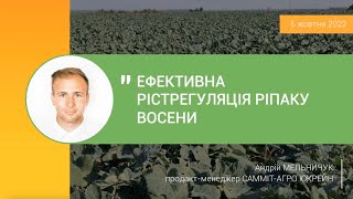 Ефективна рістрегуляція ріпаку восени: досвід застосування Ікарус Турбо та Амалгерол Ессенс