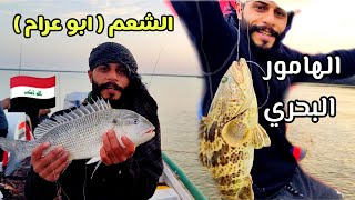 صيد الهامور والشعومه في كاسر الأمواج 🇮🇶 Breakwater