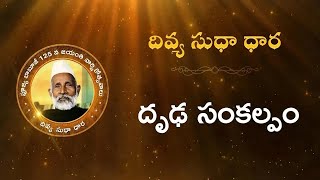 Divya Sudha Dhara | దృఢ సంకల్పం | Heartfulness Telugu | 19-11-2024