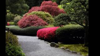 Japanese garden design ideas