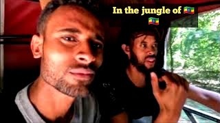 The jungle in Ethiopia 🇪🇹🇪🇹🇪🇹 You can't believe how Ethiopia is gifted with nature