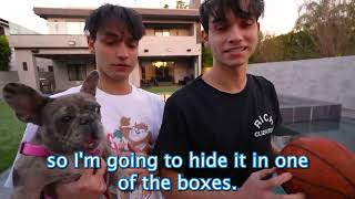 Lucas and Marcus! DONT PUSH THE WRONG MYSTERY BOX INTO THE POOL!