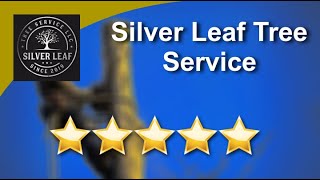 Silver Leaf Tree Service Reviews - 5 Stars for Tree Trimming in Gainesville, Florida