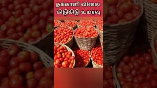 கனமழை எதிரொலி தக்காளி விலை உயர்வு,Tomato