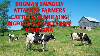 DOGMAN SAVAGELY ATTACKED FARMERS CATTLE & TERRIFYING BIGFOOT ACCT FROM LOUISIANA