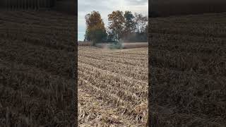 Combining 220 bushel corn