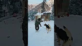 Indian Army #motivation #status #video #ytshorts #status  #nsgcommando #tiktok #trending #viral