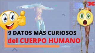 ¿Cuánto sabes del cuerpo humano? Descubre los 9 datos más impactantes