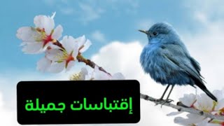 اقتباسات وعبارات جميلة