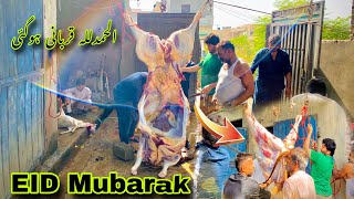 EID MUBARAK 🥰| Alhamdulillah qurbani ho gai 🤩 | Qurbani 2024 | Sara kam khariyat sa ho Gya #qurbani