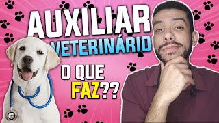 AUXILIAR DE VETERINÁRIO O QUE FAZ? QUAL O SALÁRIO? COMO SER UM? DESCUBRA NESSE VÍDEO!!