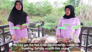 Recipes from the Interweave of People and Place in 1 MINUTE- Indonesia - Malay Menu