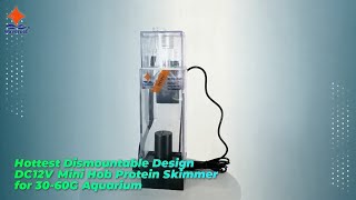 supplier of Dismountable hob skimmer in china best price Wavereef