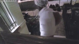 LiveLeak - DC Porch Pirate Spots Camera, Comes Back With Epic Disguise