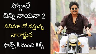 #SOGGADECHINNINAYANA2 #NAGARJUNA || NAGARJUNA NEW MOVIE LATEST NEWS || KINGNAGARJUNA NEW UPDATES