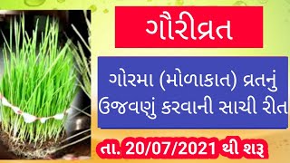 ગૌરીવ્રત | મોળાકાત | ઉજવણું કરવાની સાચી રીત | ગૌરીવ્રત કઈ રીતે કરવું | morakat | gauri vrat