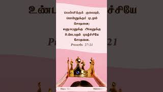 #jesus #bibleverse #bibleverseoftheday #tamilchristian #tamilchristianshorts #tamilbibleverse #bible