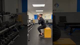 Goblet Squat to Bench - Touch and Go