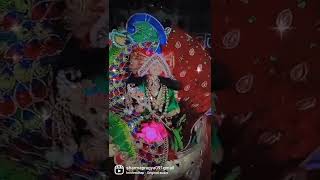 laddu gopal #shorts# video