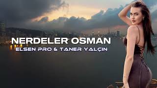 Elsen Pro & Taner Yalçın - Hani Çağırdığın Kızlar Nerdeler Osman (Remix)