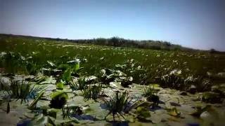 [Romania] Boat trip in the Danube Delta (4/5)