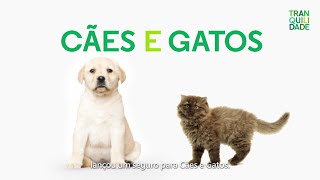 Tranquilidade | Seguro Cães e Gatos