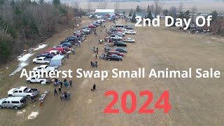 2nd Day Of Amherst Swap Small Animal Sale 2024