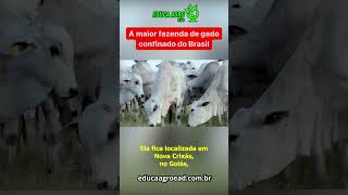 A maior fazenda de gado confinado do Brasil!!  #agriculture #agro #gado #agronegocio