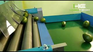 Avocado grading machine - Hi-tech - 99920-99970