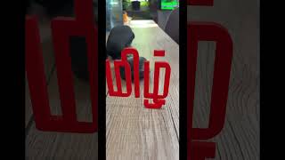 how to make augmented reality testing video (#shorts) #trending #augmented reality