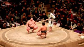 Tokyo Sumo Tournament- Comedy #1