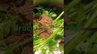 #Broccoli grevy #Yt shorts #Jayanthi kitchen #Subscribe