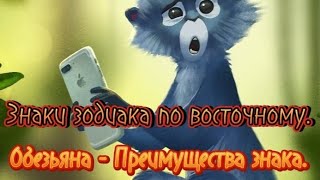 Знаки зодиака по восточному. Обезьяна - Преимущества знака.