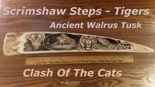 Scrimshaw Steps by Adams - Fossil Walrus Tusk With Tigers  8-26-2020