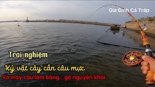 Mang kỷ vật Cây Cần Câu Mực ông sếp Nhật tặng đi kéo co với mấy Cụ Cá | GĐCT