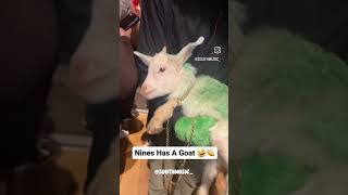 Nines Has A Goat 🤣👏