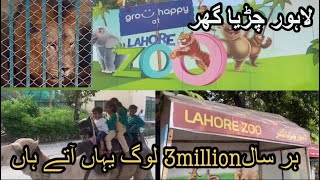 lahore zoo latest update/ lions and tigers.wildlife par pakistan.