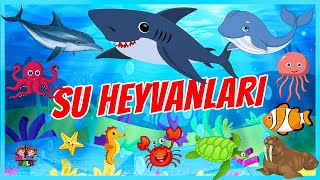 SU HEYVANLARI – SU HEYVANLARINI TANIYAQ