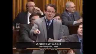 Andrew Cash hammers the Conservatives for a Do-Nothing Budget - February 12, 2014