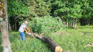 Saturday Chores on the Homestead