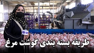 Chicken Packing method in Freshta Azimi Report / طریقه بسته بندی گوشت مرغ در گزارش فرشته عظیمی