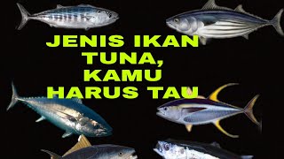 nama2 ikan Tuna ll jenis ikan Tuna konsumsi