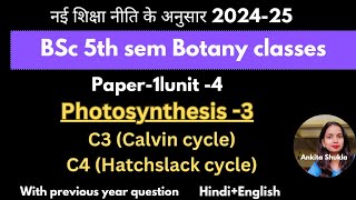 BSc 5th sem botany class|C3 and C4 cycle|with pyq, Hindi+English#bsc5thsemester #bscbio