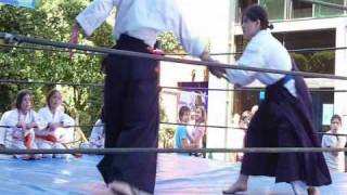 Exhibicion Aikido Liceo Franco Mexicano Polanco