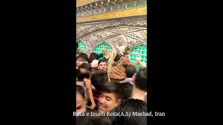 Namaz e Zuharain at Shrine of Imam Reza(A.S) 2023