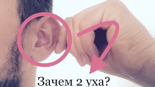 Зачем человеку два уха? Или слух человека...