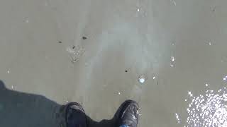 Dipping into the Channel.  Normandy Beach