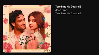 NEW TRENDING SONG || PEHLE TERE NAIN DEKHE FER DEKHYA TENU NI | TERE BINA #2024 Remix