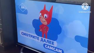 TiJi анонс СамСам 2024