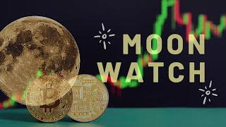 Bitcoin Moon Watch With Scotty P!